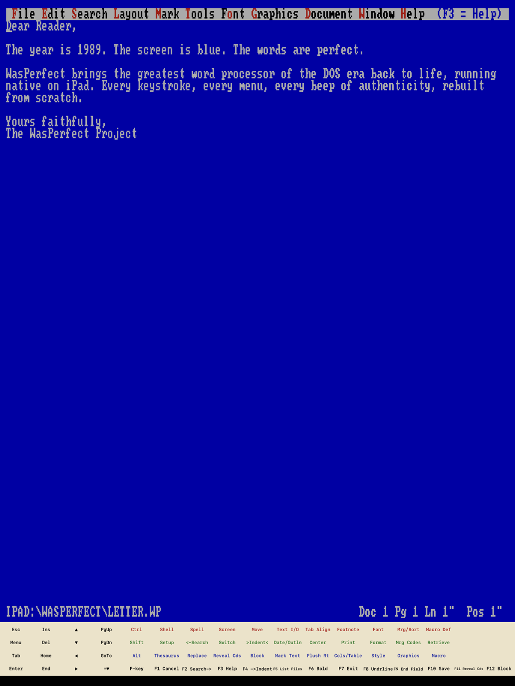 WasPerfect on iPad in portrait: the full-screen blue editing surface with the drive-letter status line and the on-screen function-key template bar.